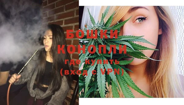дмт Новодвинск